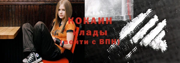 хмурый Алексин