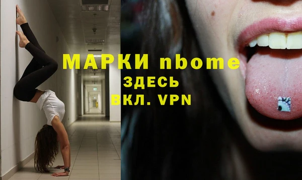 хмурый Алексин