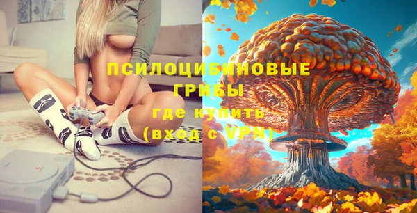 таблы Алексеевка