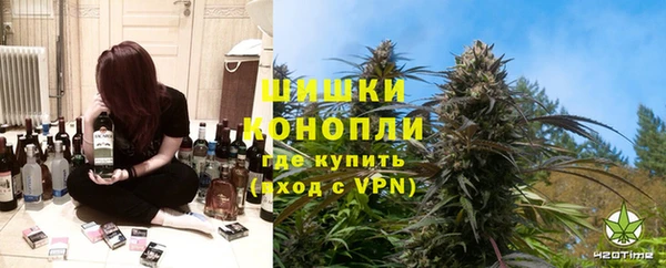 молекула духа Алзамай