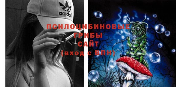 молекула духа Алзамай