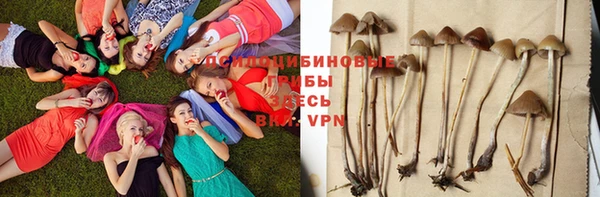 хмурый Алексин