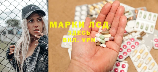 хмурый Алексин