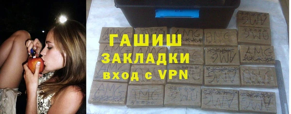 хмурый Алексин