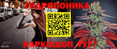 стаф Партизанск