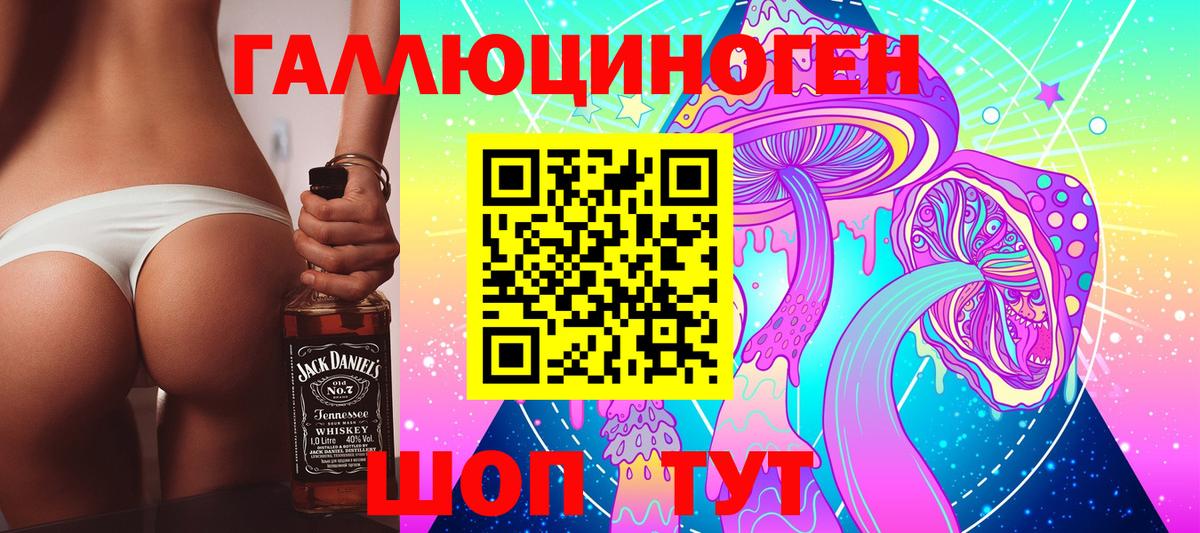 Псилоцибиновые грибы Psilocybe Тверь