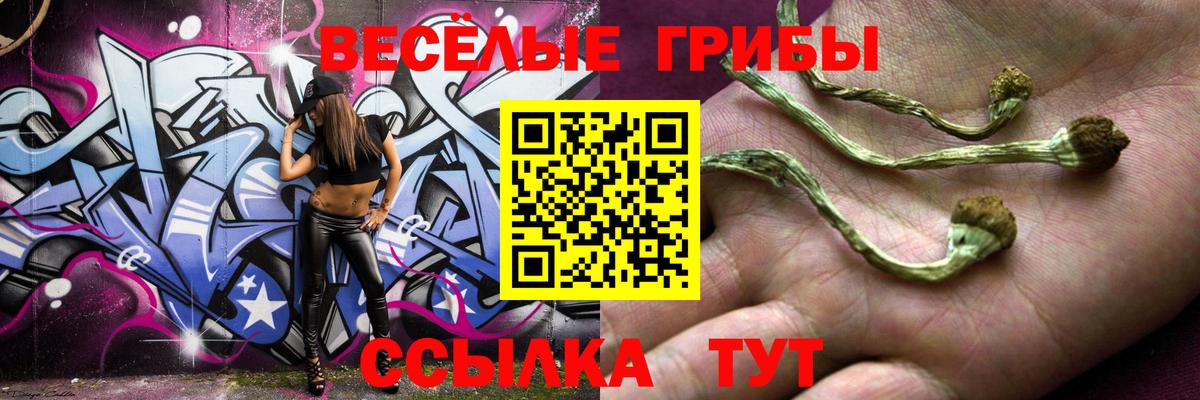 Галлюциногенные грибы Psilocybine cubensis  Вход с VPN  Тверь 